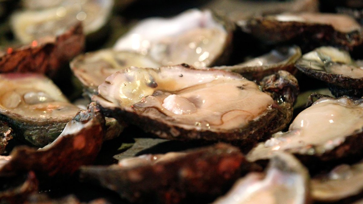 Woman dies after contracting flesh-eating bacteria from oysters bit.ly/2AFTLrC?utm_so… https://t.co/rYYQcJ2kSB