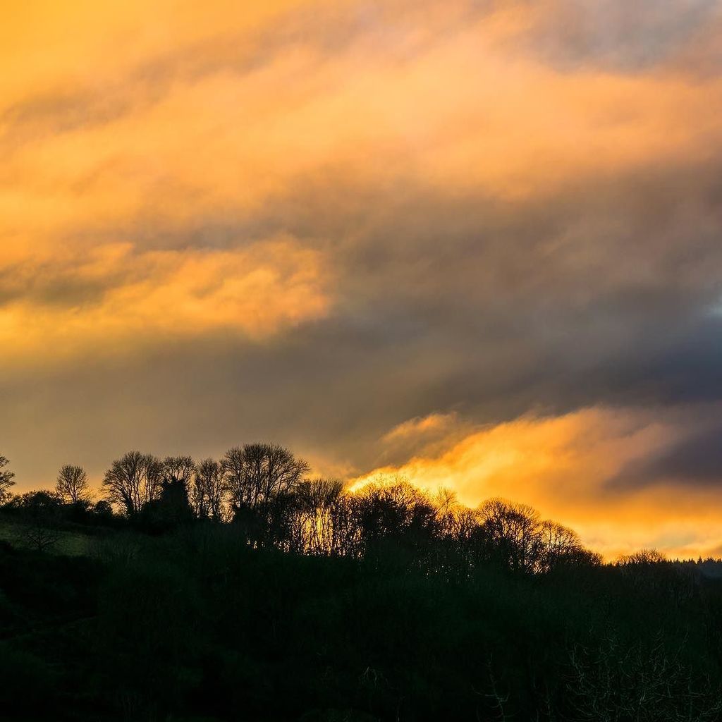 RichFearon's tweet image. Fiery skies and chill winds. #devonphotos #skylove #wintersun bit.ly/2m8g04e