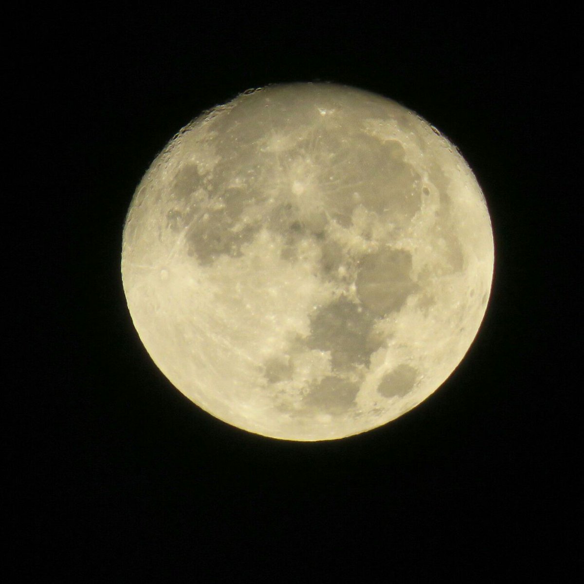 MAVİ KANATLAR (@tolga346) on Twitter photo 