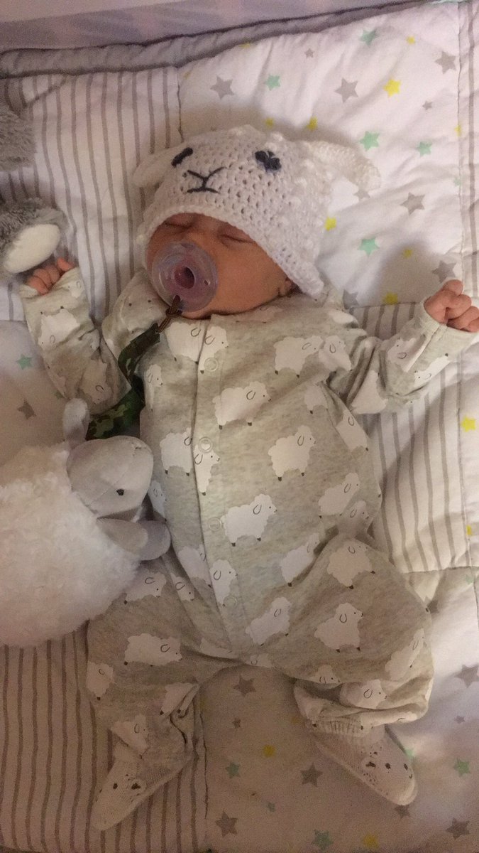 MMeganmiranda's tweet photo. My little lamb 💙🐑 https://t.co/xoCZKqQv8N