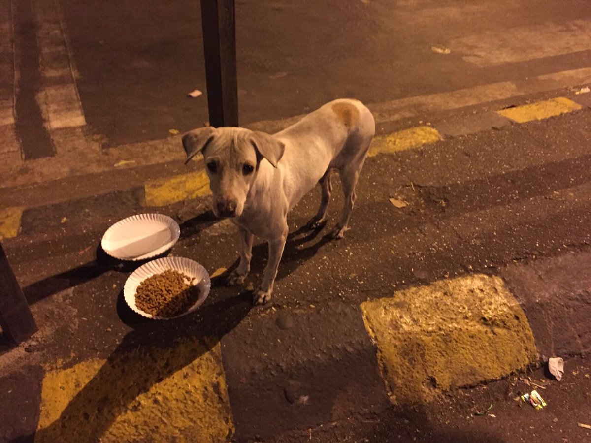 Sonal Ramnathkar tweet media