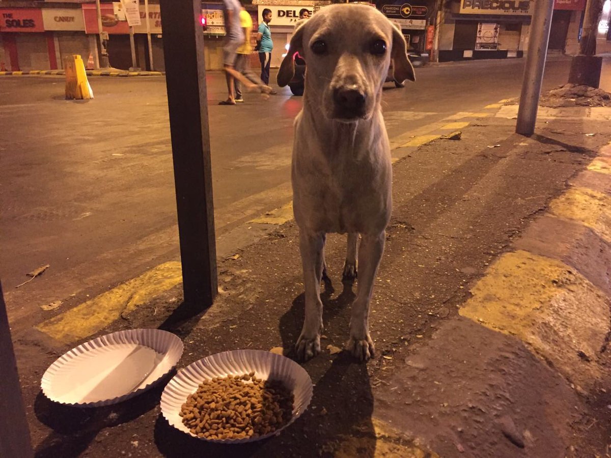 Sonal Ramnathkar tweet media