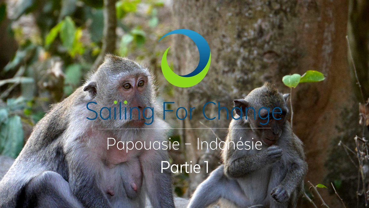 Sailing For Change - Papouasie Indonésie Partie 1 
youtube.com/watch?v=BhHf0f…