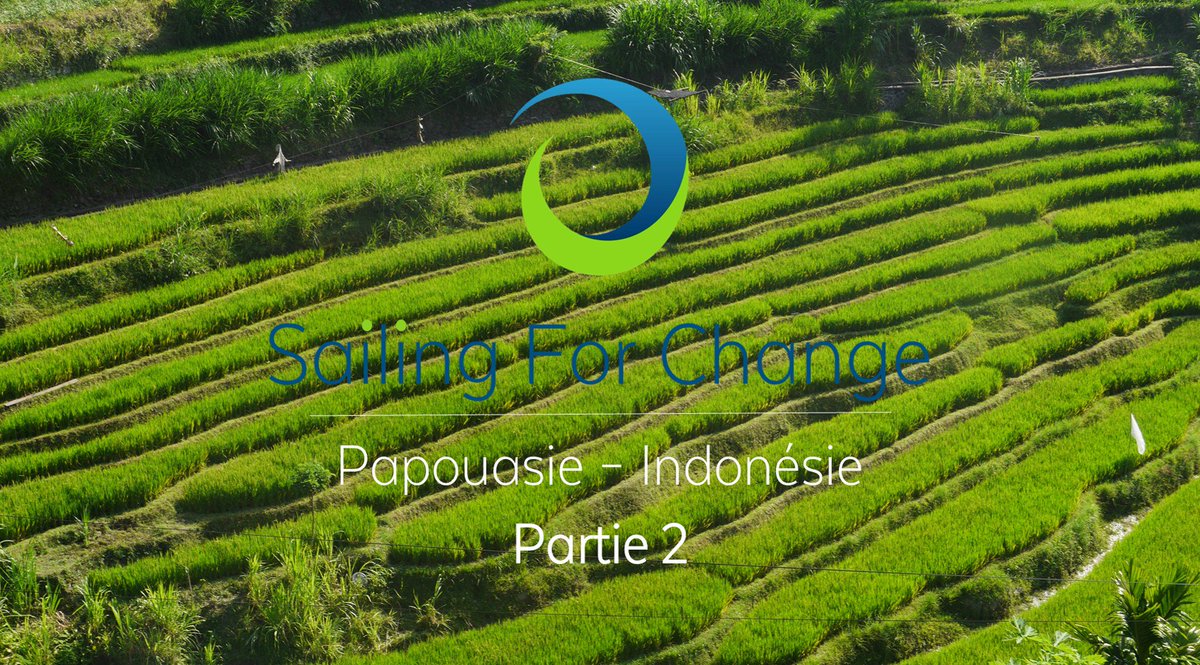 Journal de Bord - Papouasie-Indonésie Partie 2 
youtube.com/watch?v=CEDkf4…