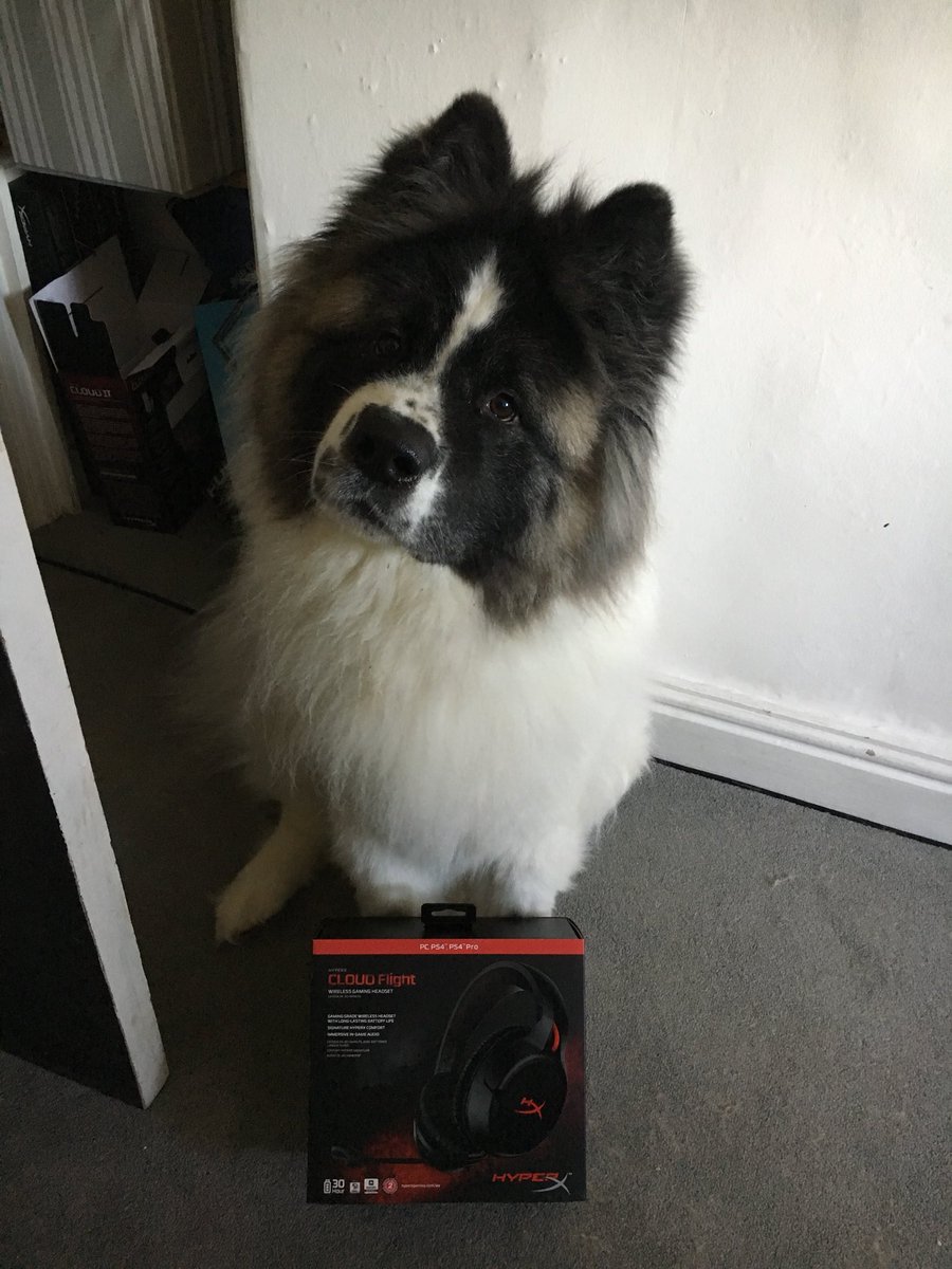 kioShiMa tweet media