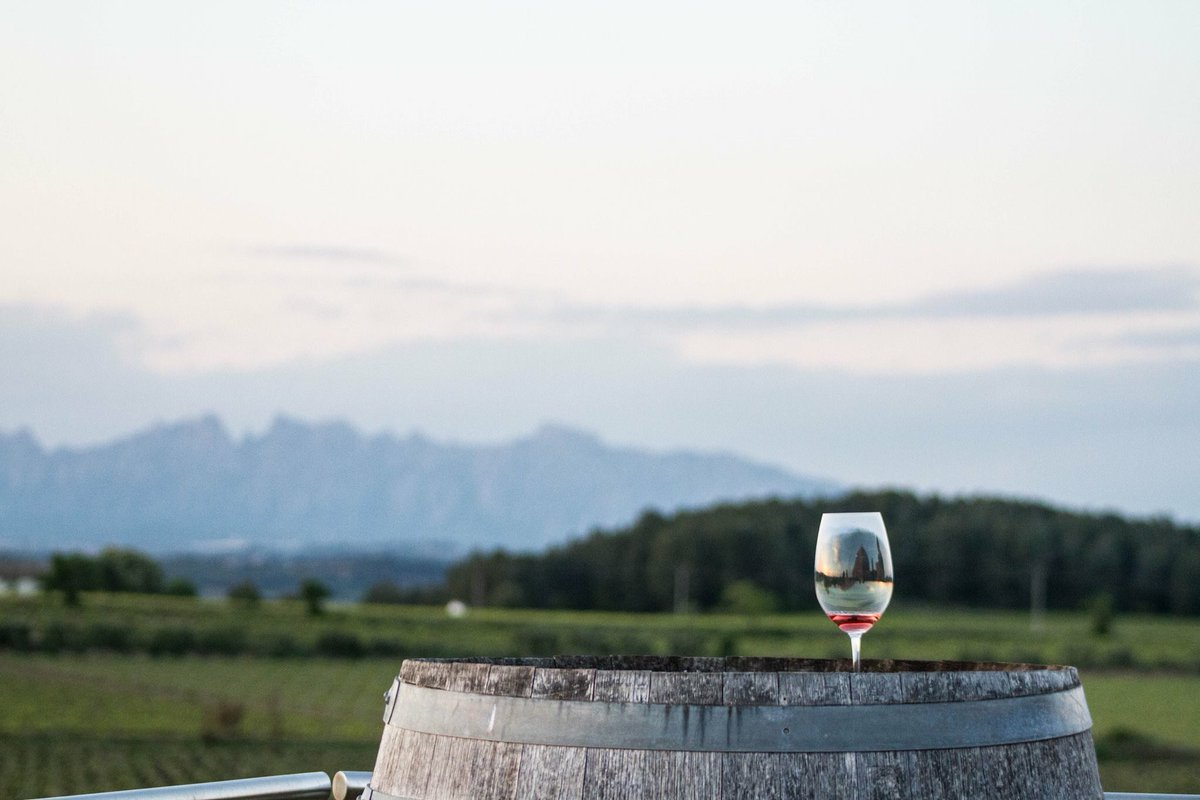 Sabries dir el nom d’un vi o cava d’Avinyonet del Penedès i el celler que el produeix? Encerta i entra al sorteig de la #MacroPanera2018 
(Bases Legals: bit.ly/2EkXHA1)