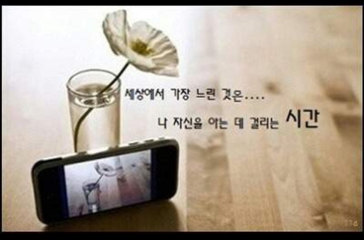 자인스님 (@darani93361) on Twitter photo 