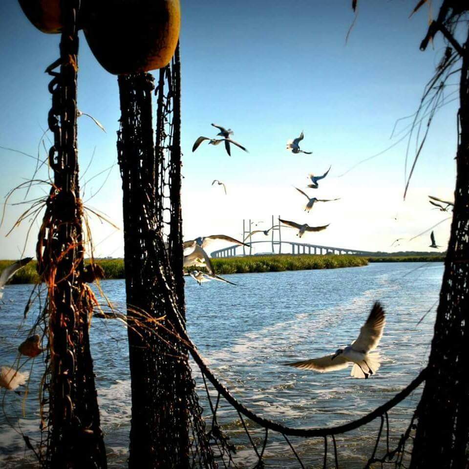 LarryCredle's tweet image. Something about the Golden Isles of Georgia and Lady Jane  shrimpcruise.com