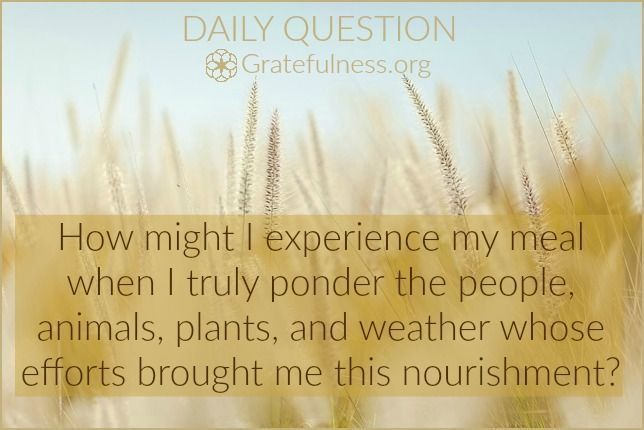How might I experience my meal when I truly ponder the people, animals, plants, and weather whose efforts brought me this nourishment? #DailyQuestion #Reflection #Gratitude gratefulness.org