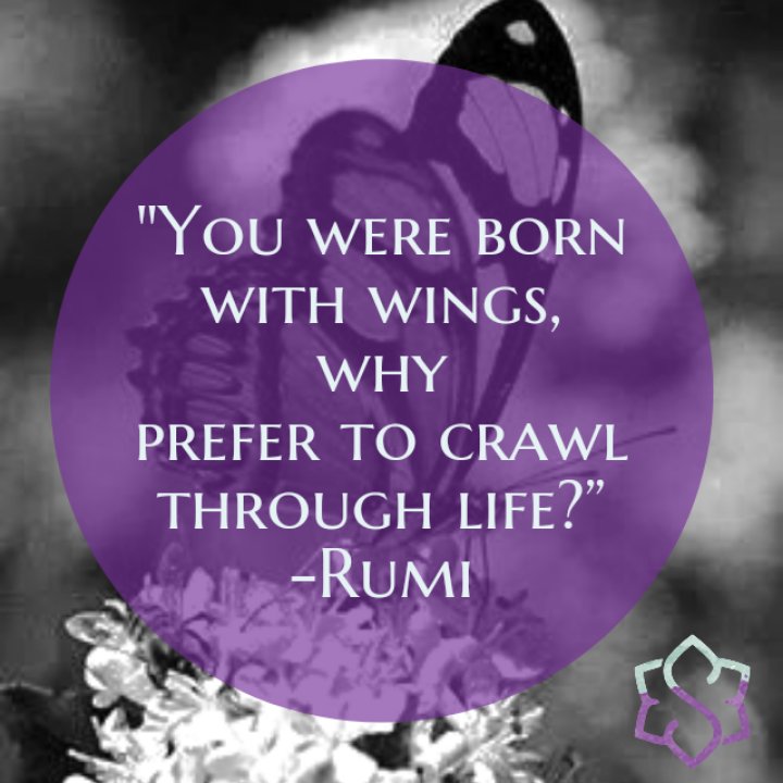 soulinspiredkcr's tweet image. "You were born with wings, why prefer to crawl through life?” 
-Rumi
#fly
#leadwithpurpose
#stepintoyourfuture