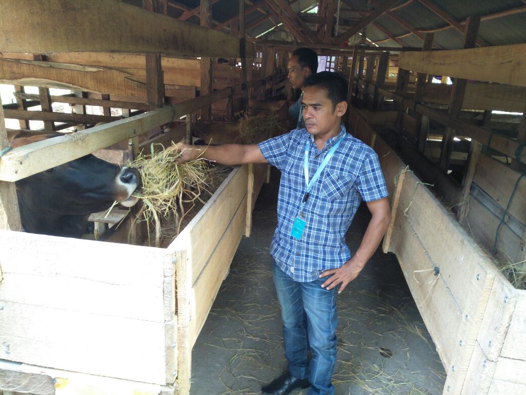 hizulyadi's tweet photo. Kunjungan ke lokasi Pengemukan sapi yang di danai oleh Dana Desa melalu BUMG Makmue sejahtera Gp. Keutapang Kec. Syamtalira Aron.Kab Aceh Utara.
#P3MDaceh
#ekosandjojo
#jokowi https://t.co/1IFdfMw6QD