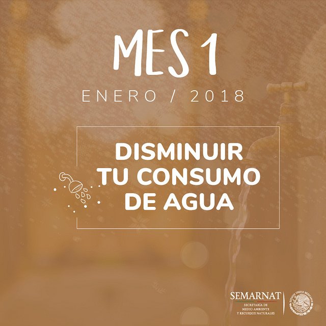 CobachSustenta's tweet photo. SEMARNAT propone para el mes de Enero https://t.co/042Gc6qitT