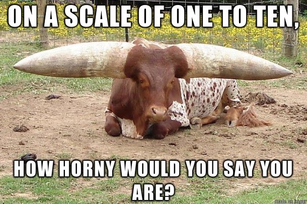 Secret Senses On Twitter On A Scale Of 1 10 Memesdaily Dailymemes Memes Funnymemes Hornymemes Sexualmemes Memesaboutsex Onascaleof1to10 Haha Horny Lol Funny Funnyposts Https T Co T6nkdm4utm