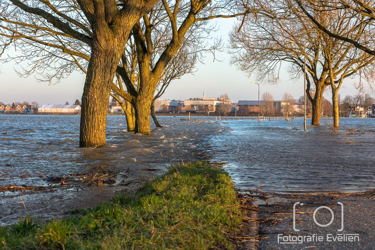 Hoog water bij Welsum. Wat heb ik weer genoten van deze rit. En velen met mij. 
Het pondje ligt uit de vaart... 
#hoogwater #ijssel #uiterwaarden #pondje