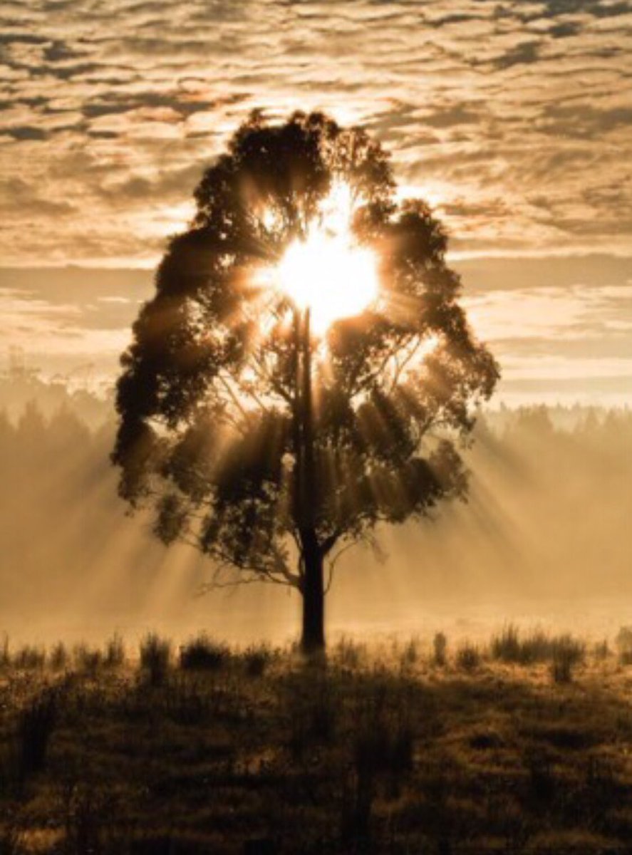 Today is never to late to be brand new.