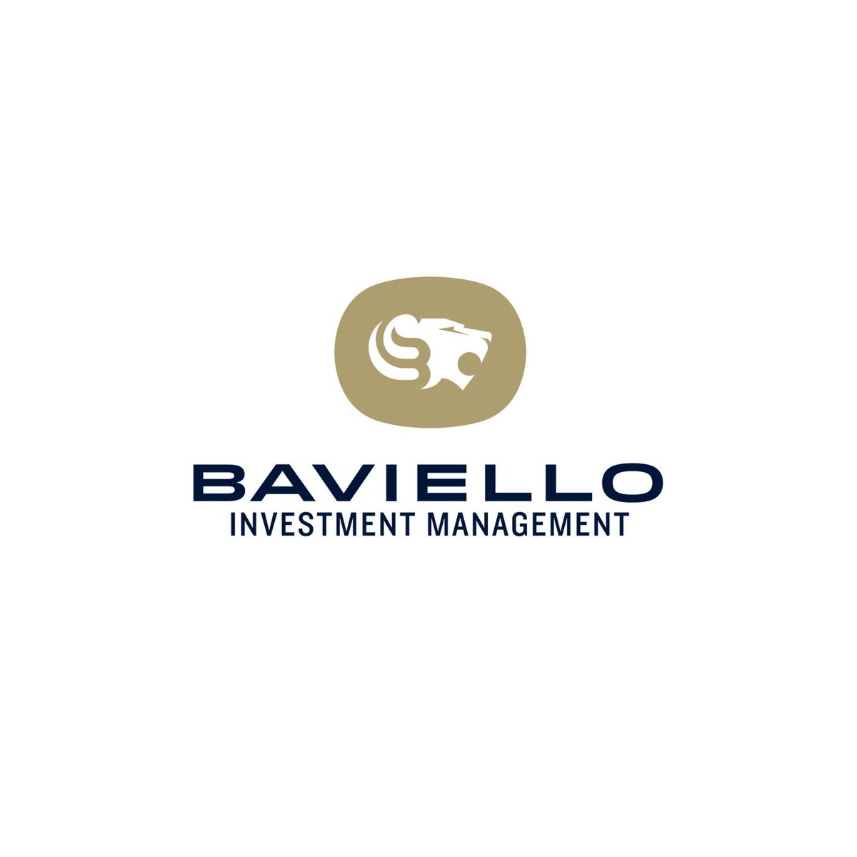 lisasirbaugh's tweet photo. A peek behind the scenes at the IDENTITY CREATION for Baviello Investment Management. Always fun to see the process instead of just a final logo/identity suite. https://t.co/QaEDoH8eW6 #identitycreation #logo #logodesign #brand #branding #lisagorhamcreative #frederickmd https://t.co/eCpLL15tSl
