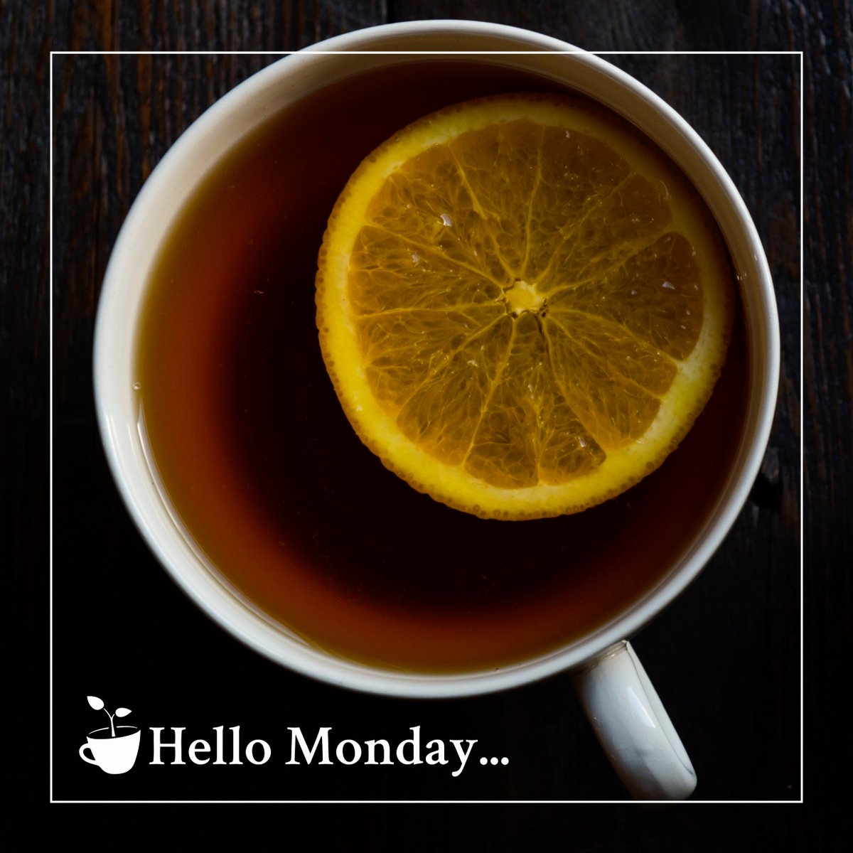 Brewbudzus's tweet photo. Our Garden of eden tea is a great start to your morning providing clarity and motivation for your work week. | #GoodforMovement #FlowerBased #CannabisSociety #CannabisCommunity #CannabisLifestyle #Californiadispensary #LasVegasDispensary #cannabissocial #monday #social #discreet https://t.co/mNZ8V6nb4Q