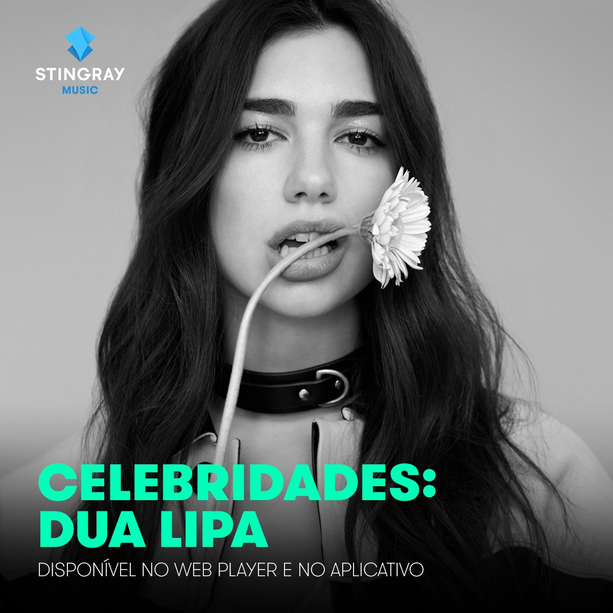 iON TV (@iontvoficial) / Posts / X
