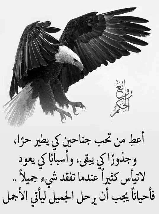 bentlebent's tweet photo. https://t.co/QcjaoyMS3W