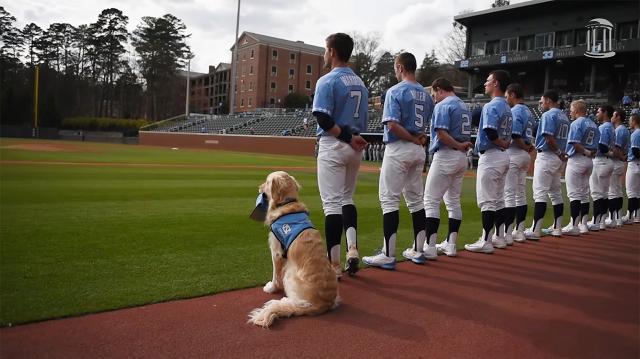 newskillacheivd's tweet photo. Put him in coach, he's ready.

Only 79(!!!!) more days until opening day, are you and your furry friend ready to rep your squad? https://t.co/zNCe0W2FxL https://t.co/WlHWXnsL9s