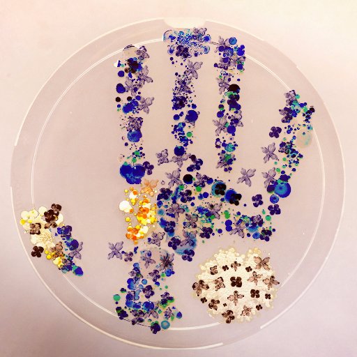TheGutGeek's tweet photo. Edge of Wonder: The Human Microbiome 🎥🍿🎫 These are just some of the stunning visuals from this new documentary! 😯 Click to watch trailer + read my full article, AND the whole 30-minute film is available for free for limited time https://t.co/ro9YMOcbNv @TheEdgeOfWonder https://t.co/ZF8JZeBXtb