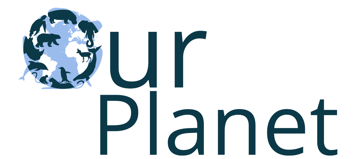 HartiganHM's tweet photo. If you told me back in August, when I started at @turingschool , that I would build my most recent project, I would tell you to shut up.  Once it's up and running in full, I'll share the hyper link. For now, here's the logo I designed a few weeks ago as a teaser. #FrontEnd #tech https://t.co/K2ykJCQlj8