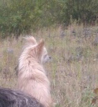 millypod1's tweet photo. ESTHER HOME SAFE. THANKS FOR RT's ππ
Teale Street #Scunthorpe #Lincolnshire #DN15
LOST 24 Dec 2017.
#DN16 #DN17 #DN20 #DN21
https://t.co/pOdctu3awM https://t.co/iMaEthQUzm