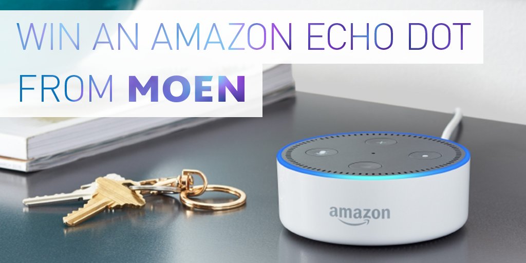 echo dot shower
