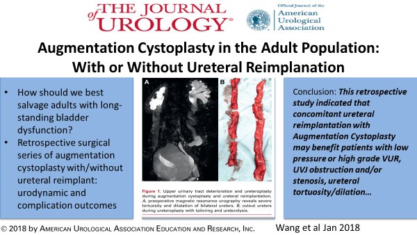 Journal of Urology (@jurology) on Twitter photo Adult bladder dysfunction: consider candidates and expectations for augmentation cystoplasty option—many cases with ureteral reimplantation
ow.ly/Iiea30hz2yy Adult bladder dysfunction: consider candidates and expectations for augmentation cystoplasty option—many cases with ureteral reimplantation
ow.ly/Iiea30hz2yy