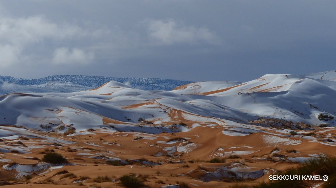 NatGeoMagArab's tweet photo. #صور_القراء | عدسة: سكوري محمد كمال من #الجزائر
مجموعة من اللقطات الرائعة التي تُظهر الكثبان الرملية بمدينة "العين الصفراء" غرب الجزائر، وهي تكتسي بحلة الشتاء -البيضاء- بعد تساقط الثلوج الكثيفة. https://t.co/w3Fsmoh7Yh