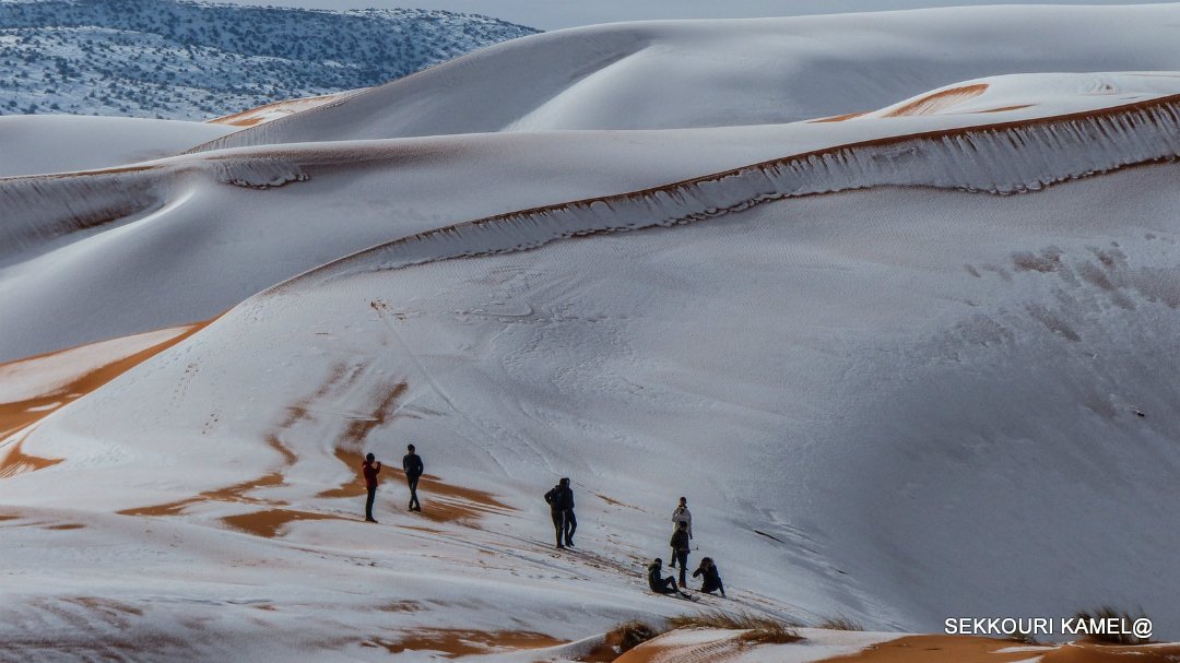 NatGeoMagArab's tweet photo. #صور_القراء | عدسة: سكوري محمد كمال من #الجزائر
مجموعة من اللقطات الرائعة التي تُظهر الكثبان الرملية بمدينة "العين الصفراء" غرب الجزائر، وهي تكتسي بحلة الشتاء -البيضاء- بعد تساقط الثلوج الكثيفة. https://t.co/w3Fsmoh7Yh