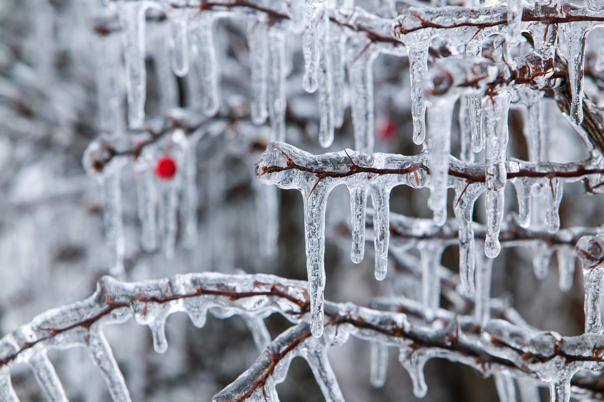 #StormPrep is key! Take steps to ensure your residents are safe during extreme weather. frontsteps.com/bomb-cyclone/  #disaster #safety #informed #BombCyclone #residentengagement #HOA #PMC @FRONTSTEPS1