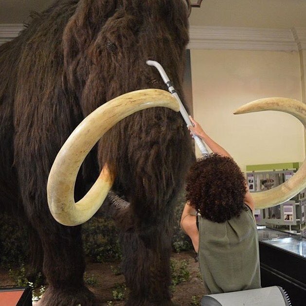 Emily. Not Emma. tweet media