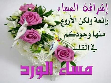  مساء وصباح الورد ( صور  ) DTCavUQWkAAEEMp