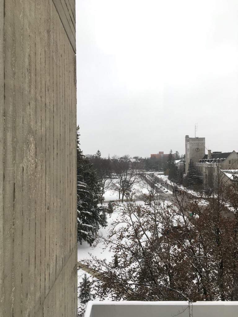uglibrary's tweet photo. Welcome back to campus, #gryphons! Have a great start to the semester! Here's a #ViewFromTheLibrary on this snowy Monday. https://t.co/d00x7Q4w8O