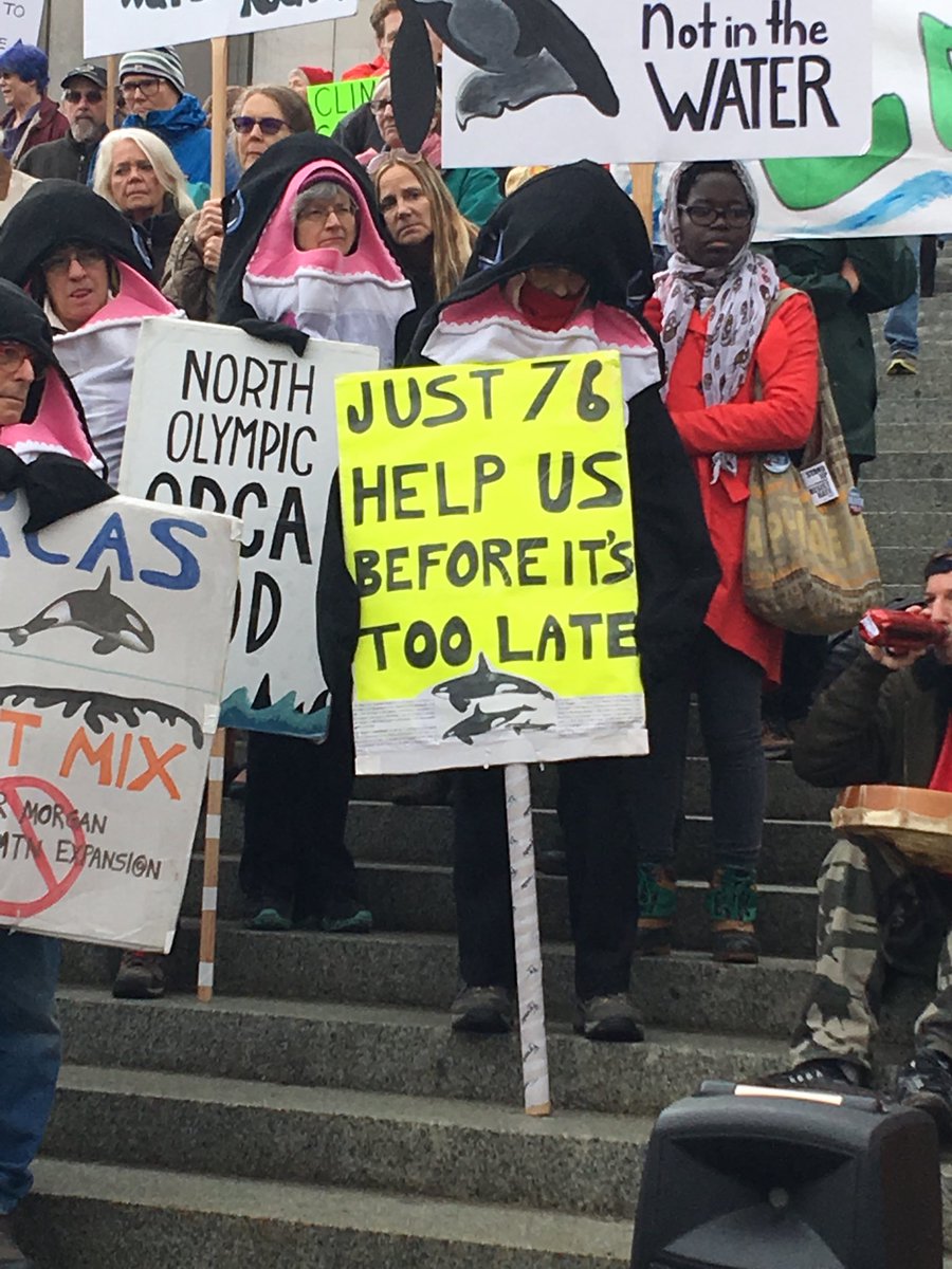 Just 76 orcas left in the south Puget Sound.  We must protect them and our future. No oil infrastructure in Wa State. No drilling our coasts. #ClimateCountdown #SaveOurOcean