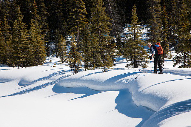 COStateLibrary's tweet photo. Winter is a great time to explore Colorado State Parks. Check out a pass from your library and hit the trail! 
#CheckOutColorado https://t.co/ucUlNTC73q https://t.co/ae6U4y2BpR