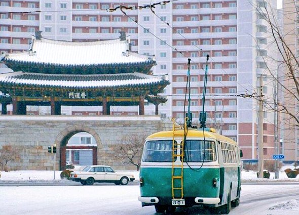 SunnyPyongyang tweet picture