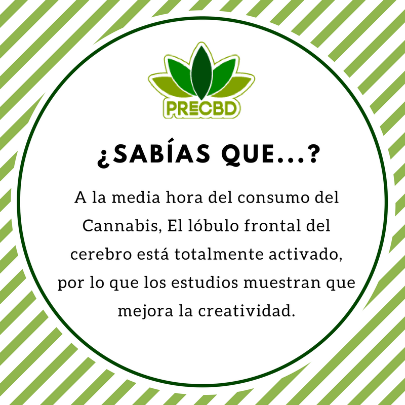 CBDpro1's tweet photo. Mejora tu creatividad con nuestros productos #PreCBD #España #CannabisEspaña #CannabisMadrid #CBDAceite #CBDCaramelo #Familia #Mujeres #Mascotas #Hombres #Estres #Antiestres #Salud #EstiloDeVidaSaludable #Inflamación #CBDParaMascotas #SinDolor  #Relax #SabiasQue #Tips https://t.co/pubKydTxeM