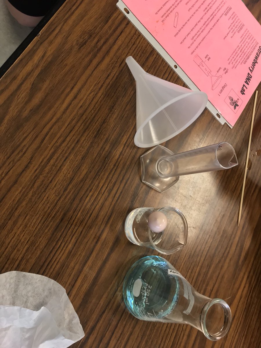SequoiaMSGiants's tweet photo. Extracting #DNA from Strawberries with @msbernalscience #smsgiants #science https://t.co/2CePK8Djlf
