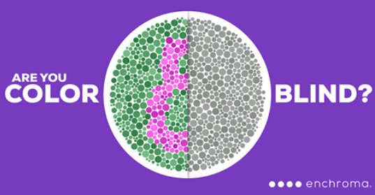 ProPrintersSC's tweet photo. Are you color blind? Take this test to find out: https://t.co/QyqSQiLrtT #Print #Proprinters #Color #Enchroma https://t.co/yedH7zqBcT