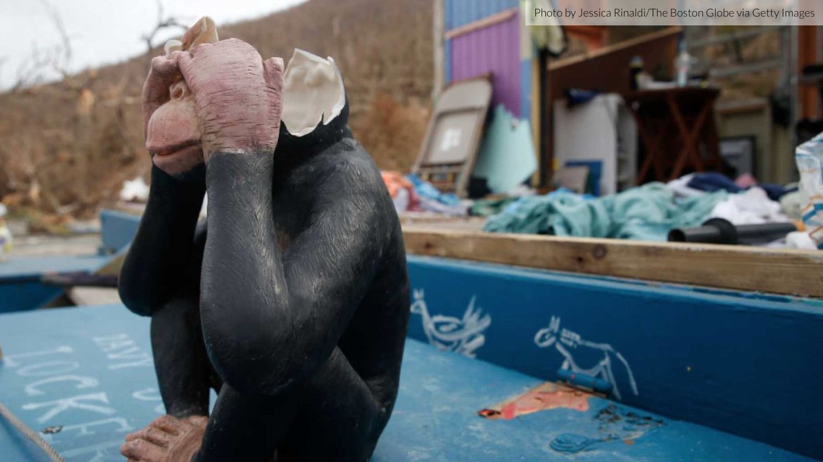 WALSH: Stop Congratulating Yourselves, Hollywood. You Hypocritical, Self-Serving Cowards. bit.ly/2CSN2zB <a href="/MattWalshBlog/">Matt Walsh</a>