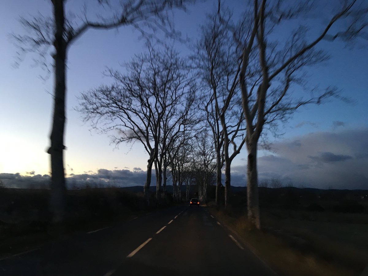 carolineterree's tweet photo. "Winter Break. On the road..." / "Break d'hiver. Sur la route..." (Toulouse-Montpellier, France) https://t.co/HC1FiwudEu #authorslife #writerslife #thrillers #agentkovacs #seriecsu 🍁 #France #Hérault #meetingfriends #nocturne https://t.co/OyUejtynYy