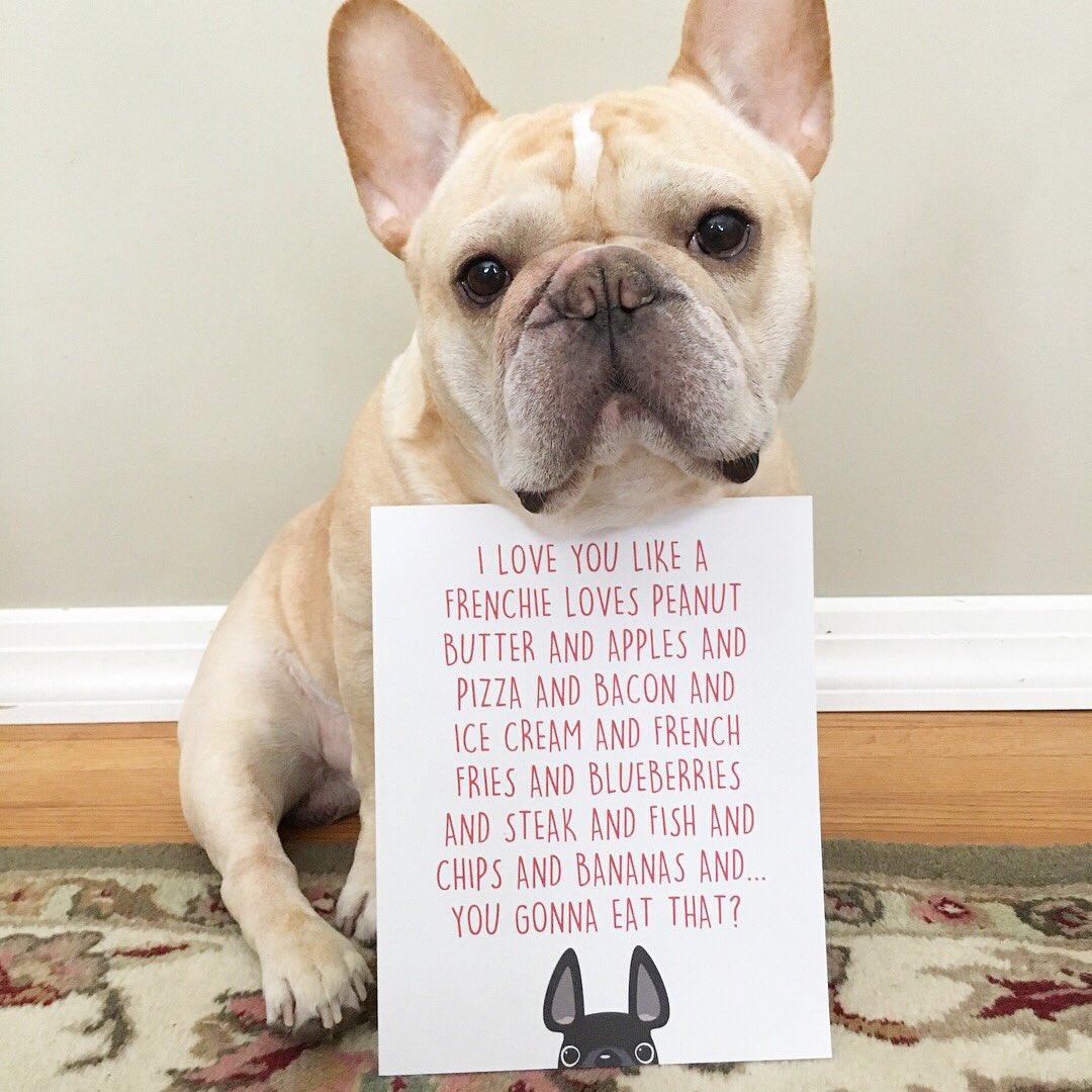 French Bulldog Love on Twitter: "JUMBO cards as big as Romeo's head! Find  them in the shop, only at https://t.co/ELWIQd0vmS 💌  https://t.co/CnlmvIylr9" / Twitter