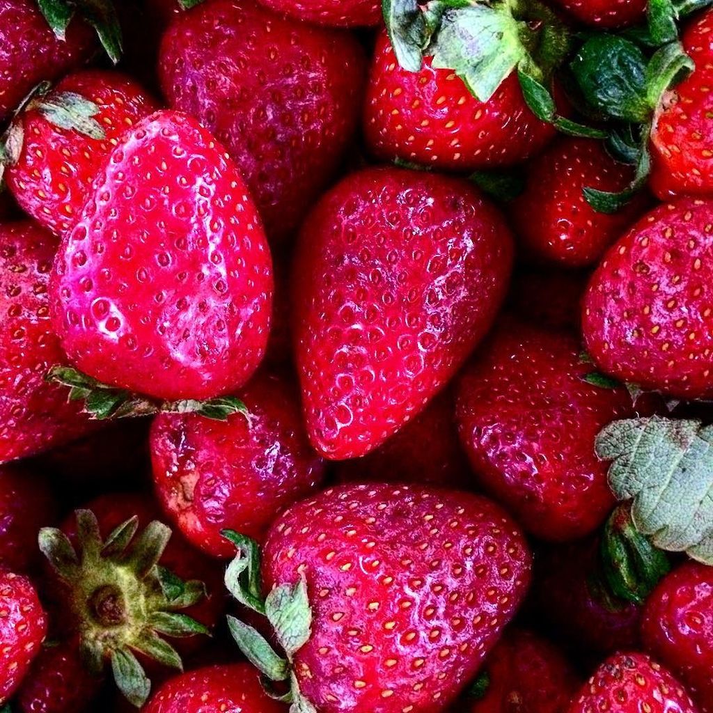 OscarSamanamud's tweet photo. Rojo pasión
.
.
.
#market #fresas🍓 #colors #rojofuego #rojoyverde #redandgreen #strawberry #dailysale #colors #life #LaHermelinda #Trujillo #cellphonephotography #iphonephotography #instadaily #instagood #instafood #fresh #picoftheday #instanature #i… https://t.co/ELunTuwAlS https://t.co/m7NxKj3oo9