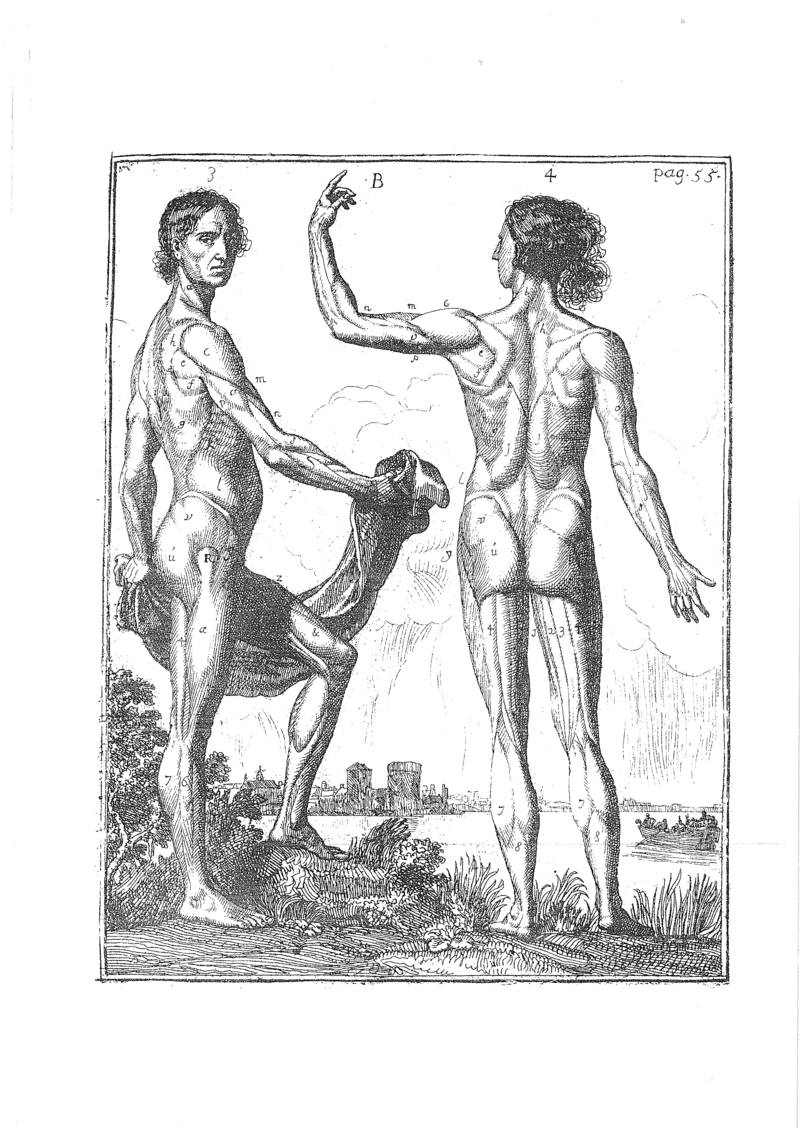 レンブラントの門下生、サミュエル・ファン・ホーホストラーテンによる『絵画芸術の高等画派入門』(1678)。絵画技法書の一部に解剖学を含む。https://t.co/q1YkgWJNoB #美術解剖学 
