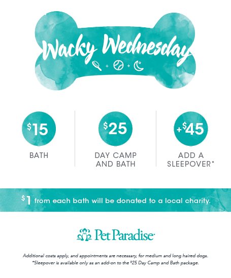 PPRNewOrleans's tweet photo. Wacky Wednesday begins Jan 10th! That's only 2 days away! Don't forget to book your Wacky Wednesday appointment today! Prices and themes are listed below. You can also sign up $5 theme photo of your pup.
#getwacky #booknow #DoggieDaycamp #Bath #Sleepovers https://t.co/XSrZG1h30Z