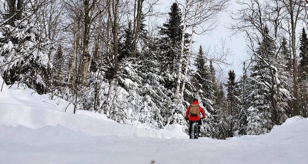 TourignyAlex's tweet photo. It’s fat biking season and the struggle buss has boarded.
.
.
#fatbike #winterbike #salsacycles #newengland #winter #mtb #mountainbike #whitemountains #getoutside #explore #exploremore #neverstopexploring #photography #lifestyle #fujifilm #x100f https://t.co/iTcEPsmYFN https://t.co/tC8lysxcdD