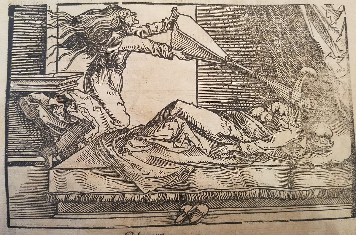 senseshaper's tweet photo. Bonus woodcut on the verso with a fine #NotADolphin pillow. https://t.co/U3BMJftS2M