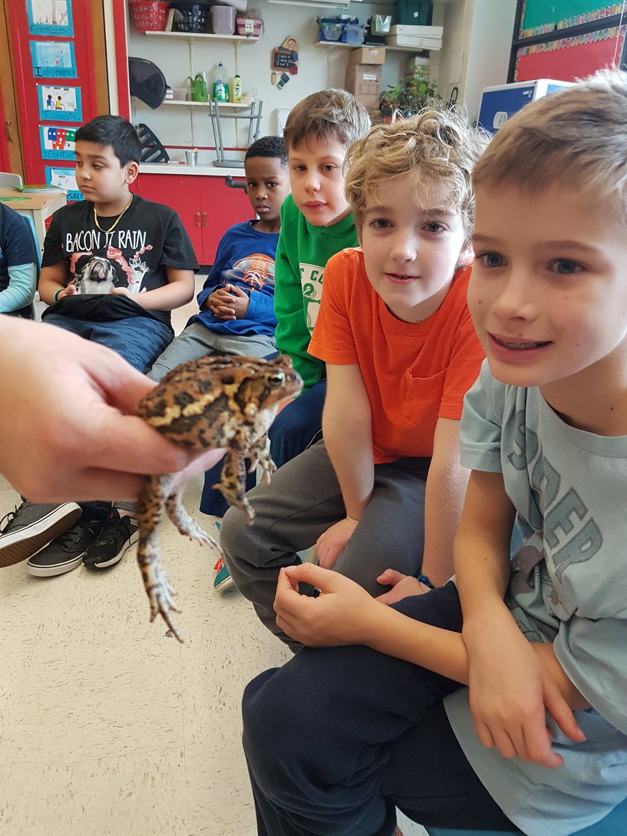 M_Tubbeh's tweet photo. Ecomuseum visit. Look what we made! Our own 3D models!  @rchuawilson @ibpyp @clearpointelem https://t.co/5rh29zQ7P7